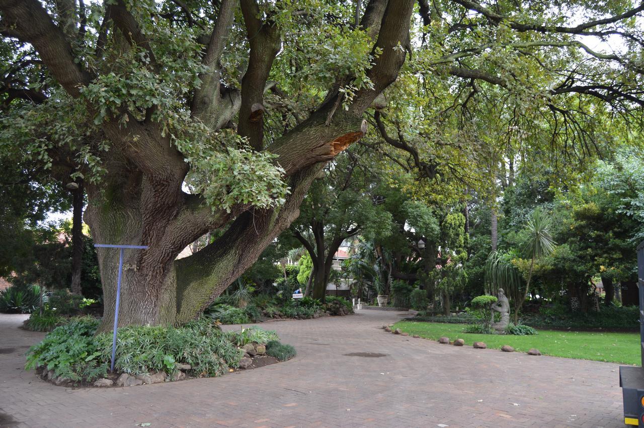 Airport Gardens Boutique Hotel Boksburg Kültér fotó